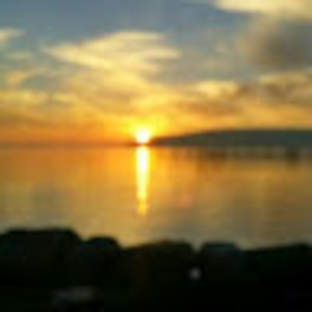 Meet your Posher, Dagmar